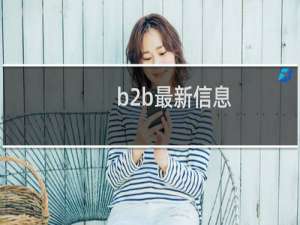 b2b最新信息