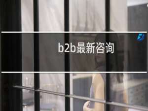 b2b最新咨询