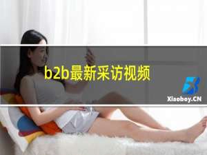 b2b最新采访视频