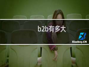 b2b有多大