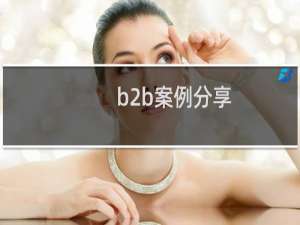 b2b案例分享