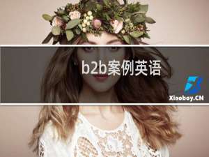 b2b案例英语