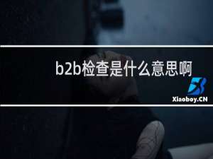 b2b检查是什么意思啊