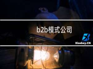 b2b模式公司