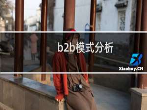 b2b模式分析