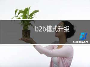 b2b模式升级