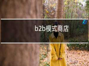 b2b模式商店