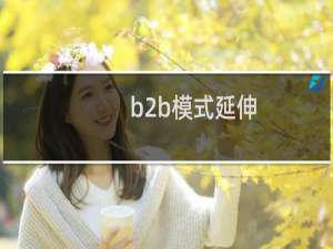 b2b模式延伸