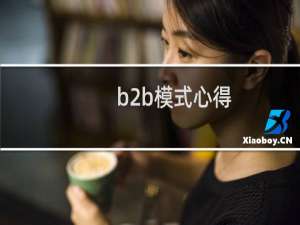 b2b模式心得
