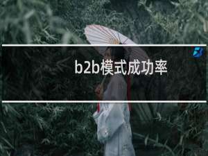 b2b模式成功率