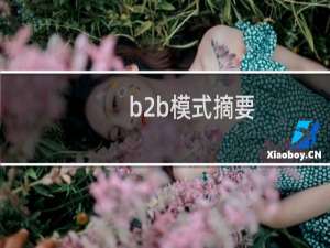 b2b模式摘要