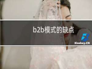 b2b模式的缺点