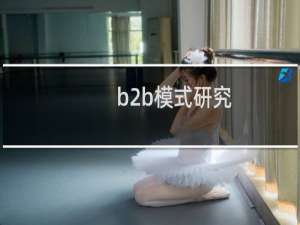b2b模式研究