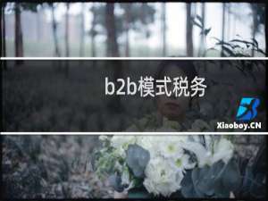 b2b模式税务