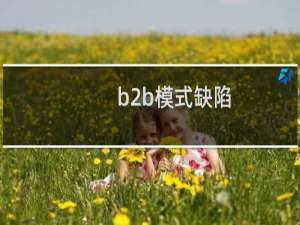 b2b模式缺陷