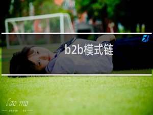 b2b模式链