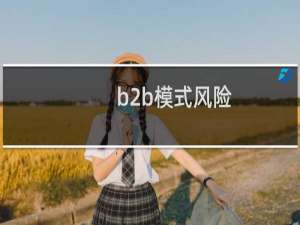 b2b模式风险