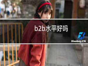 b2b水平好吗