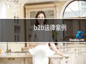 b2b法律案例