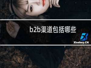 b2b渠道包括哪些