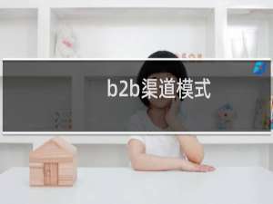 b2b渠道模式