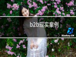 b2b现实案例