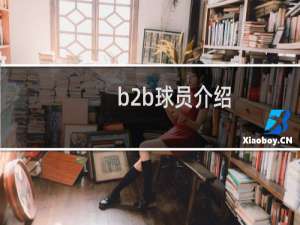 b2b球员介绍