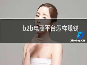 b2b电商平台怎样赚钱
