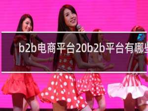 b2b电商平台 b2b平台有哪些