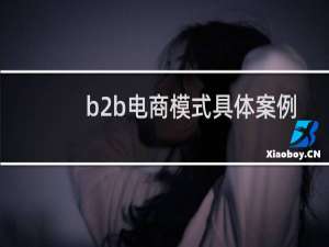 b2b电商模式具体案例