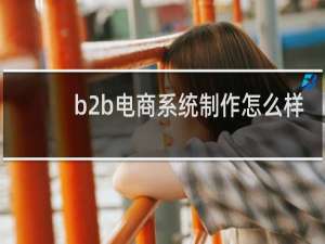 b2b电商系统制作怎么样