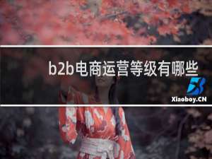 b2b电商运营等级有哪些