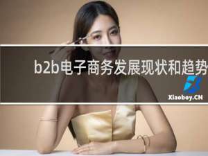 b2b电子商务发展现状和趋势