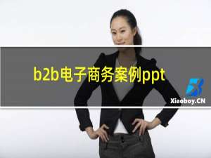 b2b电子商务案例ppt
