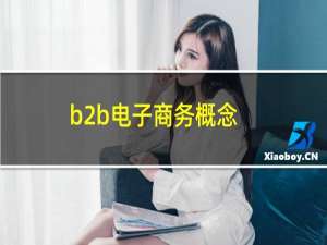b2b电子商务概念