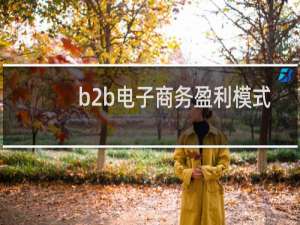 b2b电子商务盈利模式