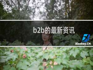 b2b的最新资讯