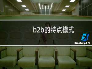 b2b的特点模式