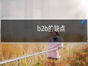 b2b的缺点
