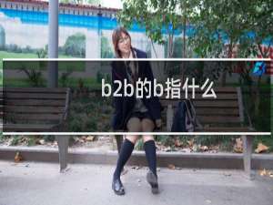 b2b的b指什么