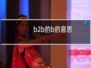 b2b的b的意思