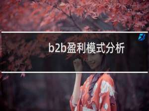 b2b盈利模式分析