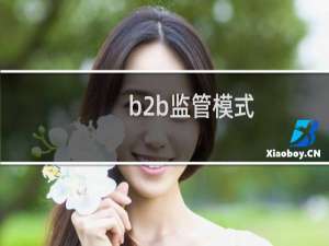 b2b监管模式