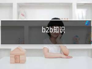 b2b知识