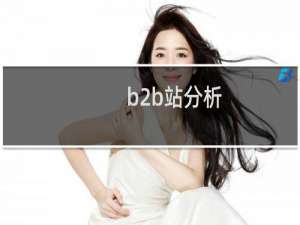 b2b站分析
