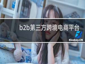 b2b第三方跨境电商平台
