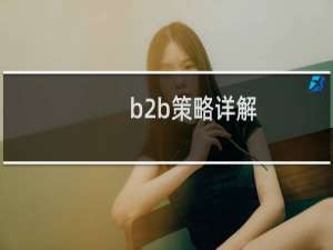 b2b策略详解