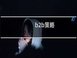 b2b策略