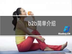 b2b简单介绍