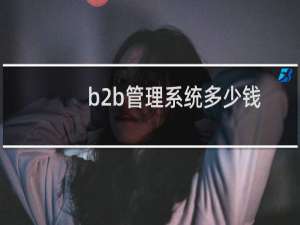 b2b管理系统多少钱